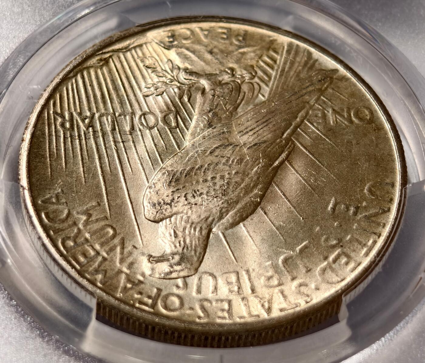 紫瑗钱币——第462期  美国 1925年 和平鸽 1元 银币 PCGS MS65  65难度比摩根高