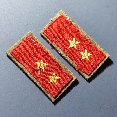 PCAI钱币30-93钱币奖章小专场 二战日本军领章一副