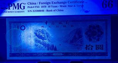 北极狼藏苑社团购专场(59) 2049-中国银行·外汇兑换券拾圆·PMG66EPQ