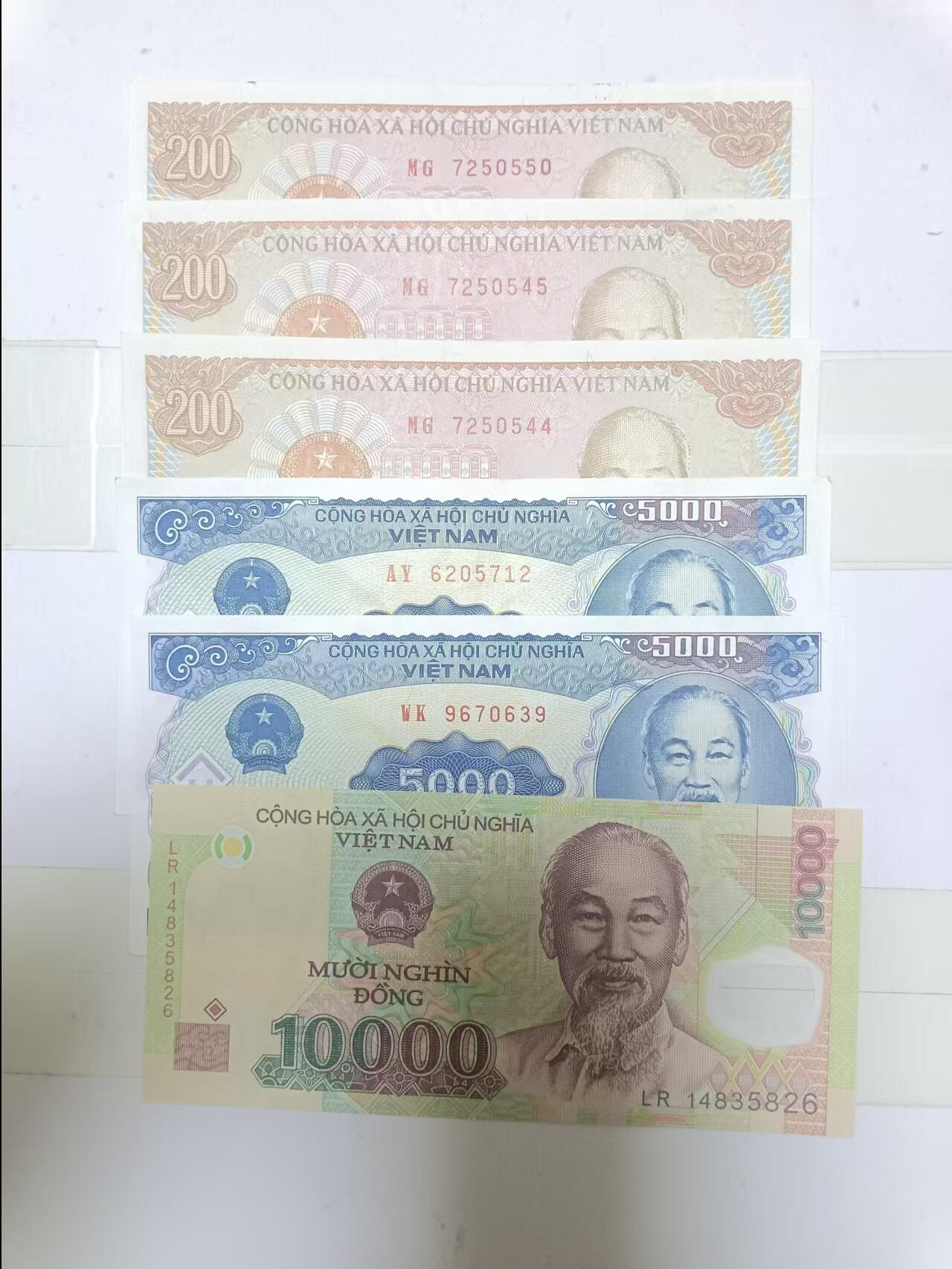 【20241203】非全新硬币和纸币第194场 越南6张纸币