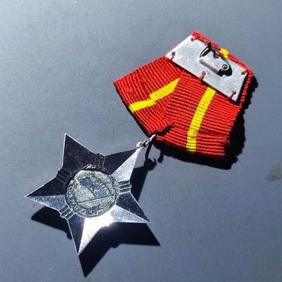 PCAI钱币30-93钱币奖章小专场 越南奖章