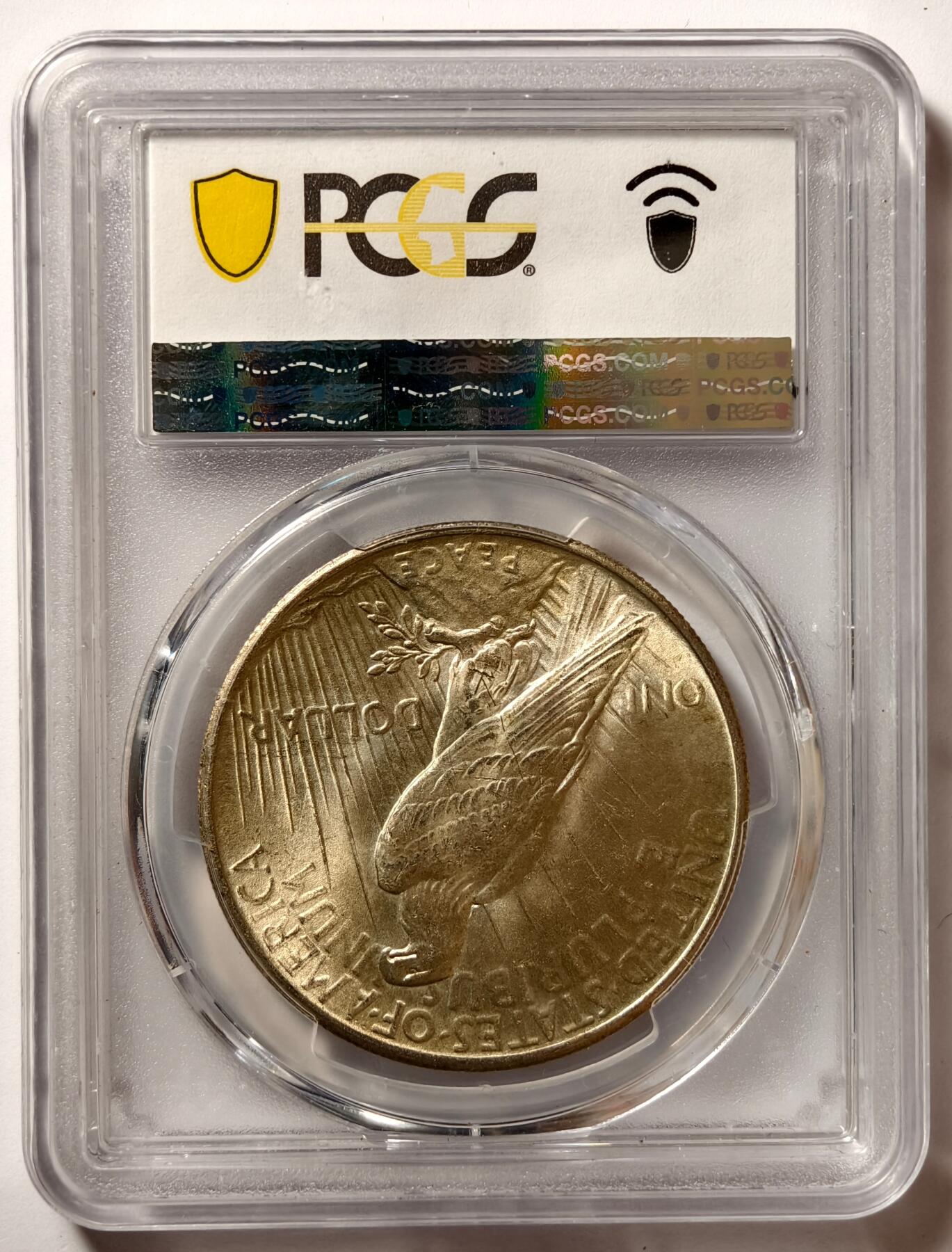 紫瑗钱币——第462期  美国 1925年 和平鸽 1元 银币 PCGS MS65  65难度比摩根高