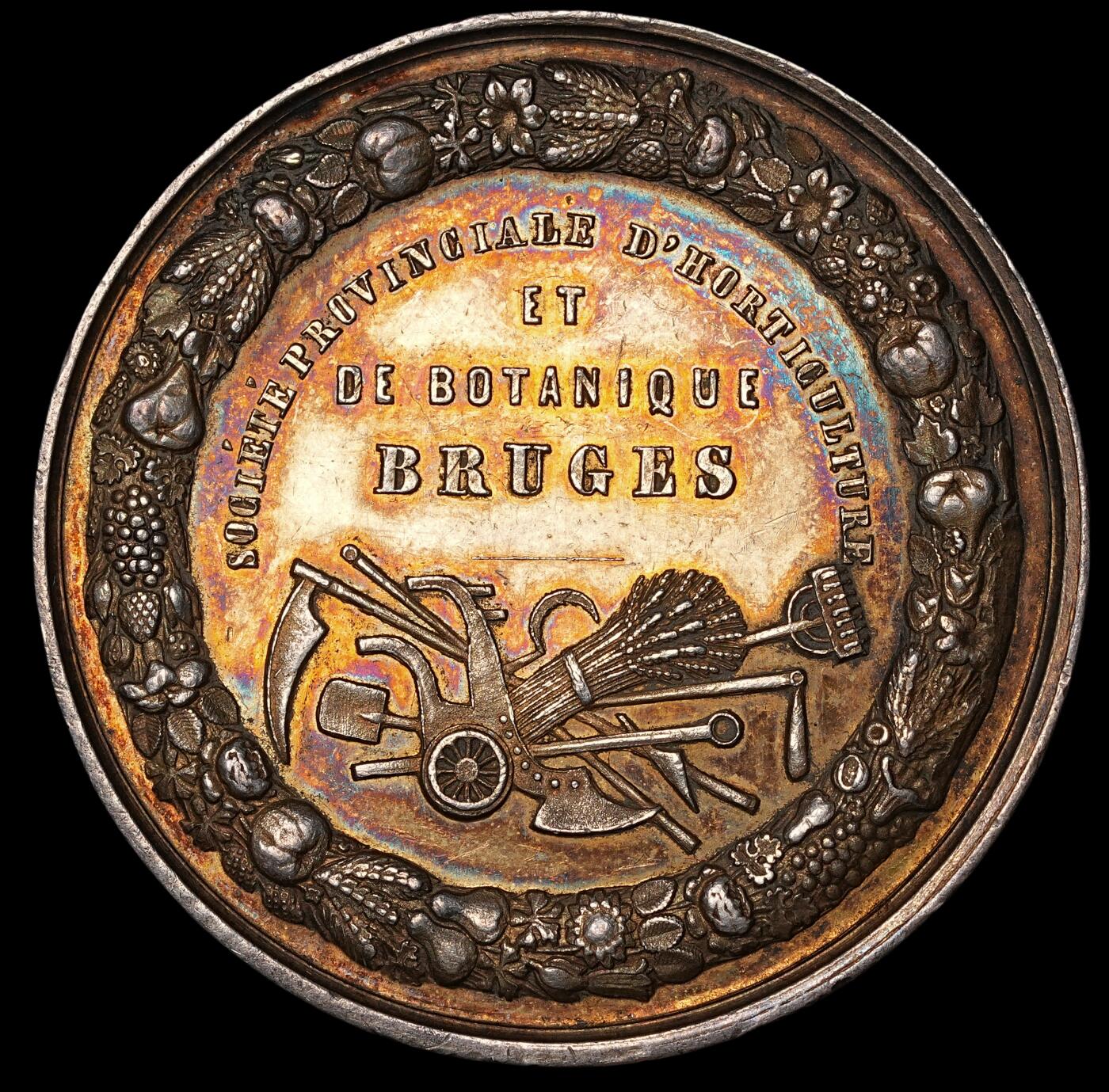 修遠堂世界钱币第四十九期 全场包邮 19世纪比利时大银章 五彩 46mm，27.78g 边一磕