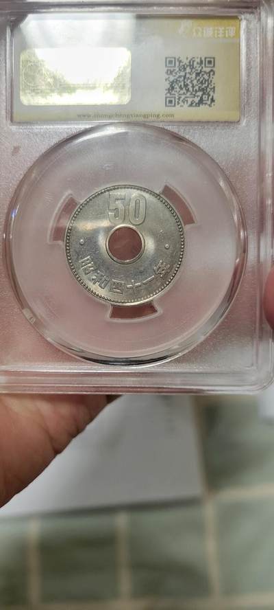 2024第二十三期 日本菊花50元