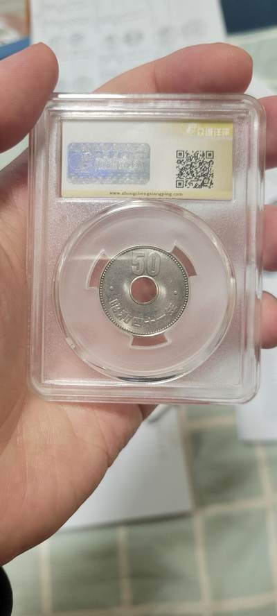 2024第二十三期 日本菊花50元