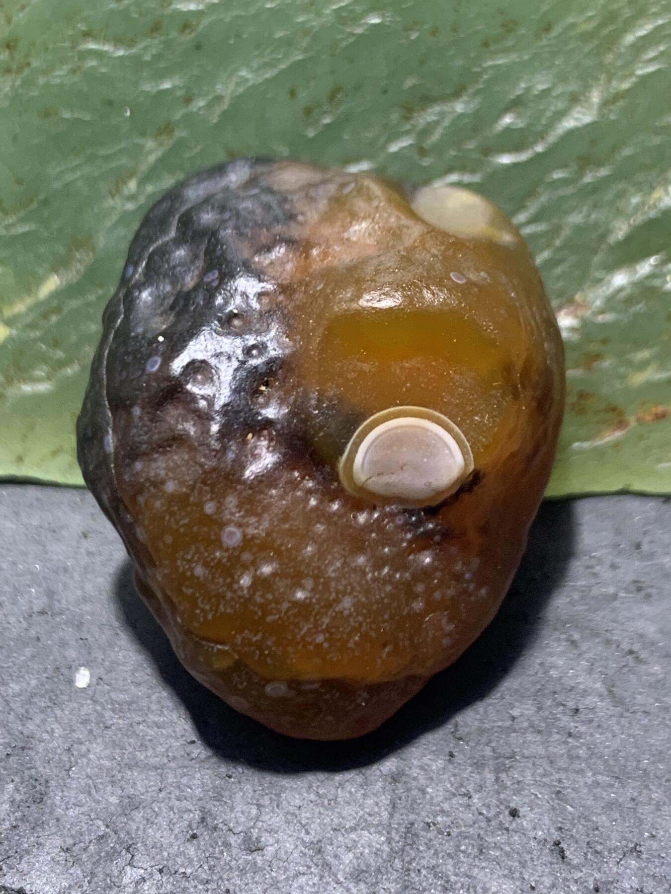 放福利！精美罕见天然戈壁阿拉善酒红色黑皮天眼纹玛瑙原石一颗