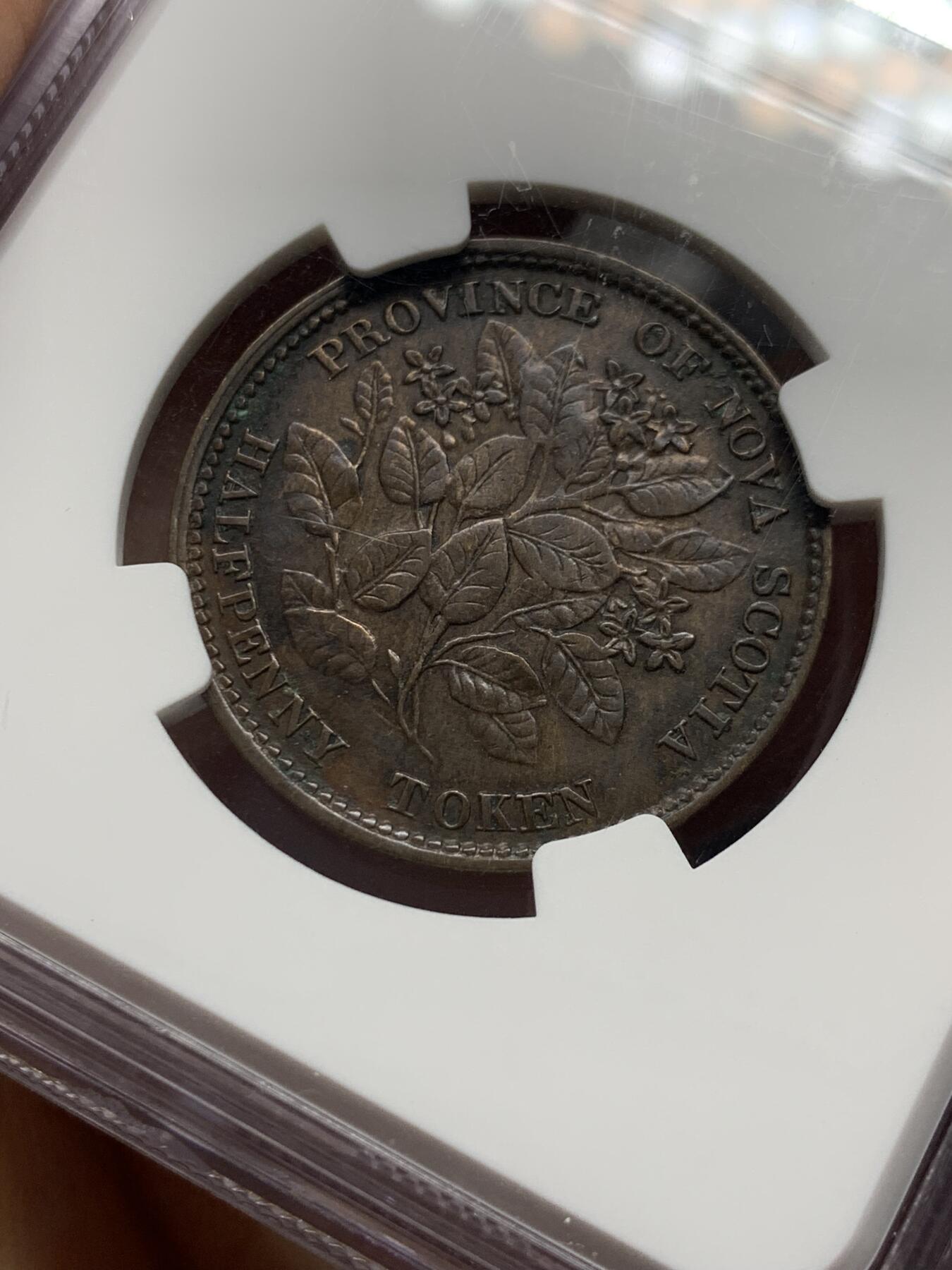 《竞宝斋》第334场 周日，周一 2场连拍 （全场包邮） NGC AU55BN 1856 加拿大新斯科舍省1/2便士铜币，更高8枚