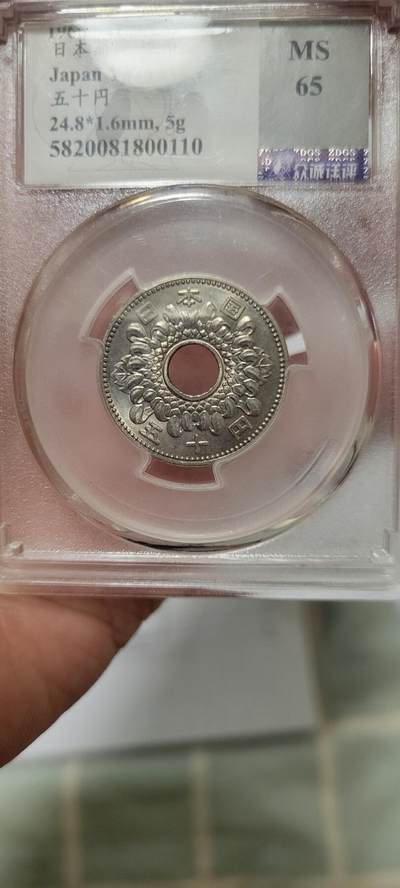 2024第二十三期 日本菊花50元