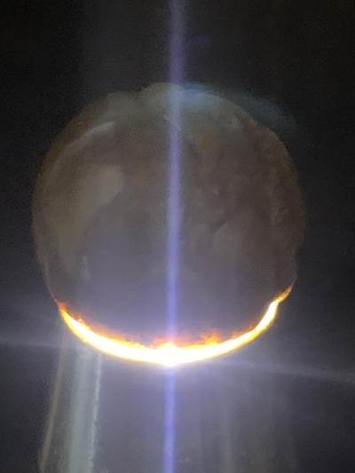 精美黄金草花纹亚光战国红玛瑙手工俏色巧雕灵蛇钱币随形珠一个 精美黄金草花纹亚光战国红玛瑙手工俏色巧雕灵蛇钱币随形珠一个