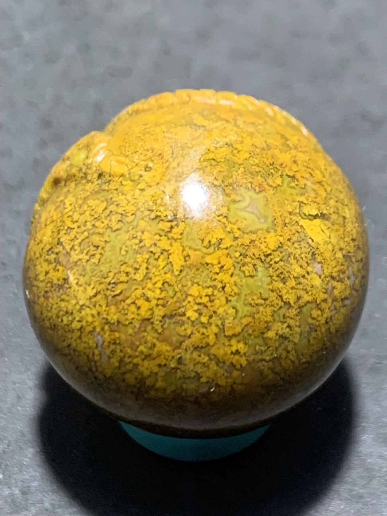 精美黄金草花纹亚光战国红玛瑙手工俏色巧雕灵蛇钱币随形珠一个