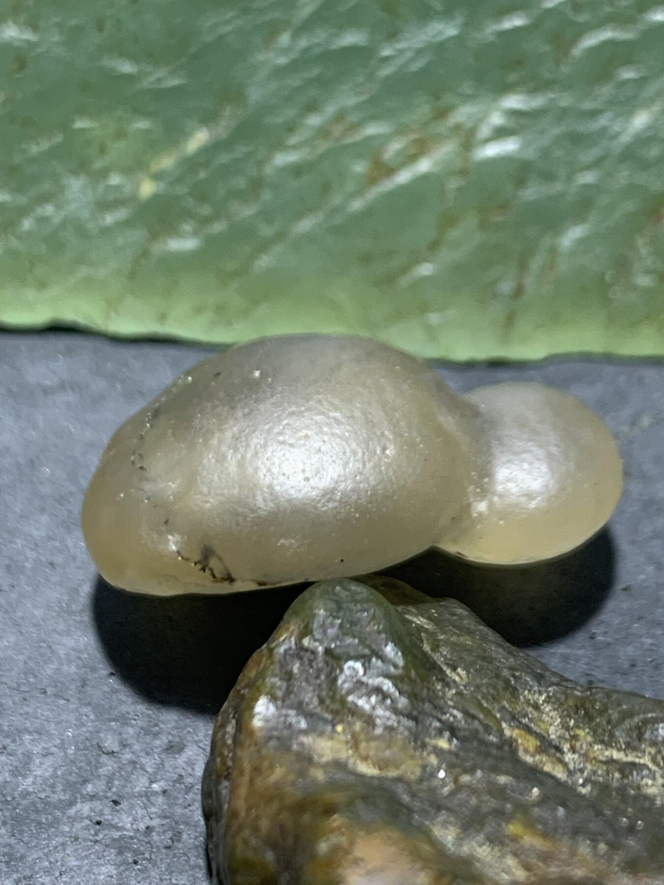 精美天然戈壁阿拉善黑糖心葫芦形原石一颗，