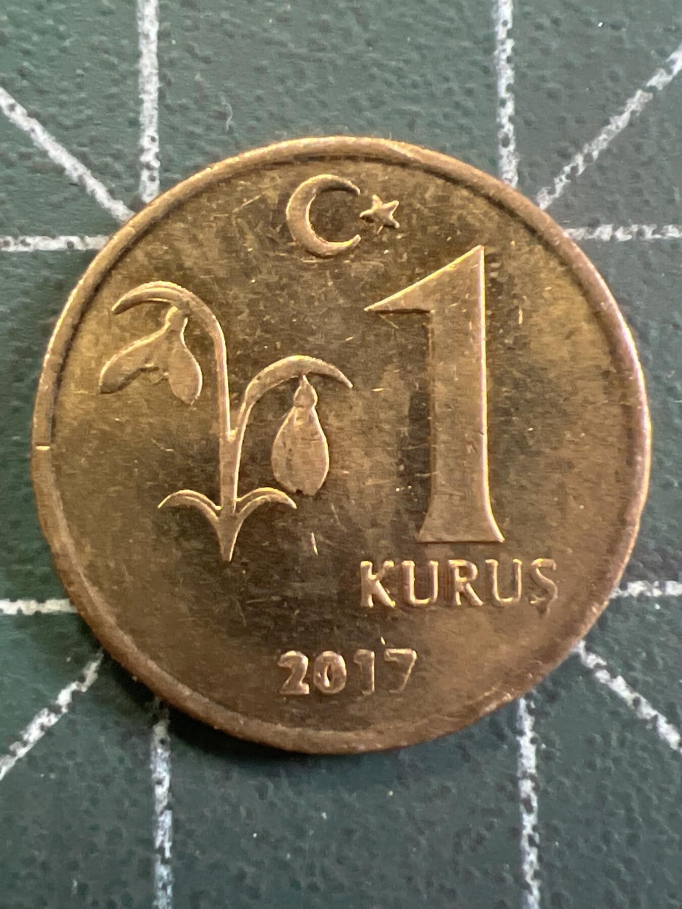 第779期  硬币专场 （无押金，捡漏，全场50包邮，偏远地区除外，接收代拍业务，本店十天发一次货） 土耳其1库鲁