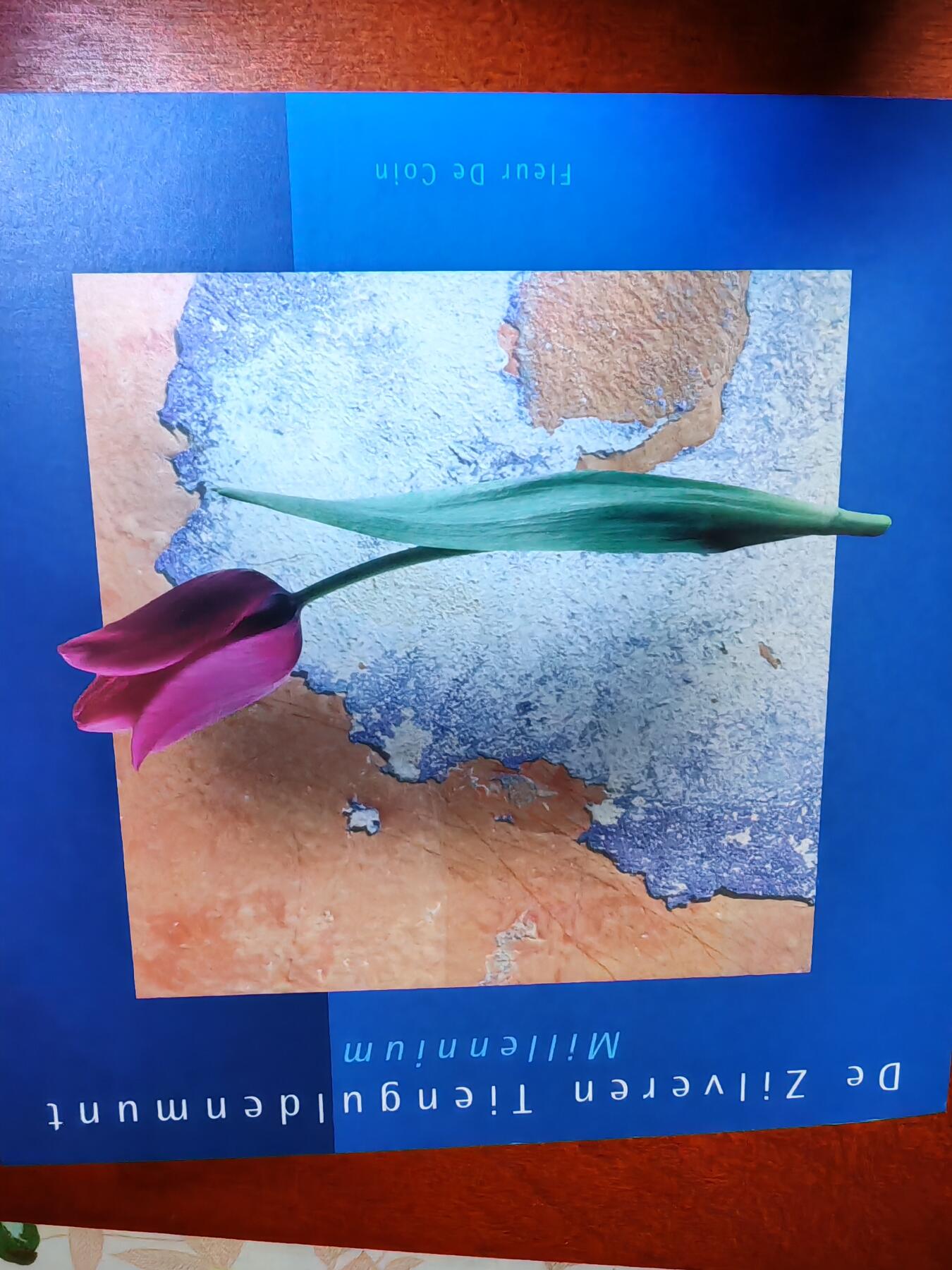 长老汇龙年精选第三十三场拍卖 1999荷兰千禧10盾银币，卡装