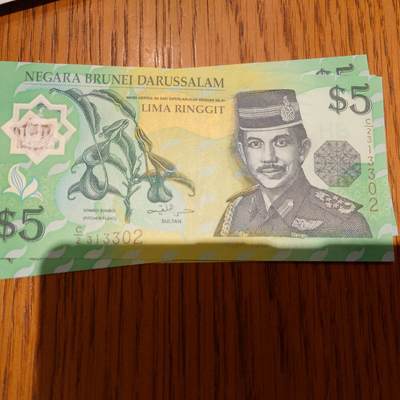 【世界钱币】精选微拍第153期暨2024年第65期～少量新品展销 【一口价已售出】1996年文莱5林吉特塑料钞 全新绝品无47尾号302