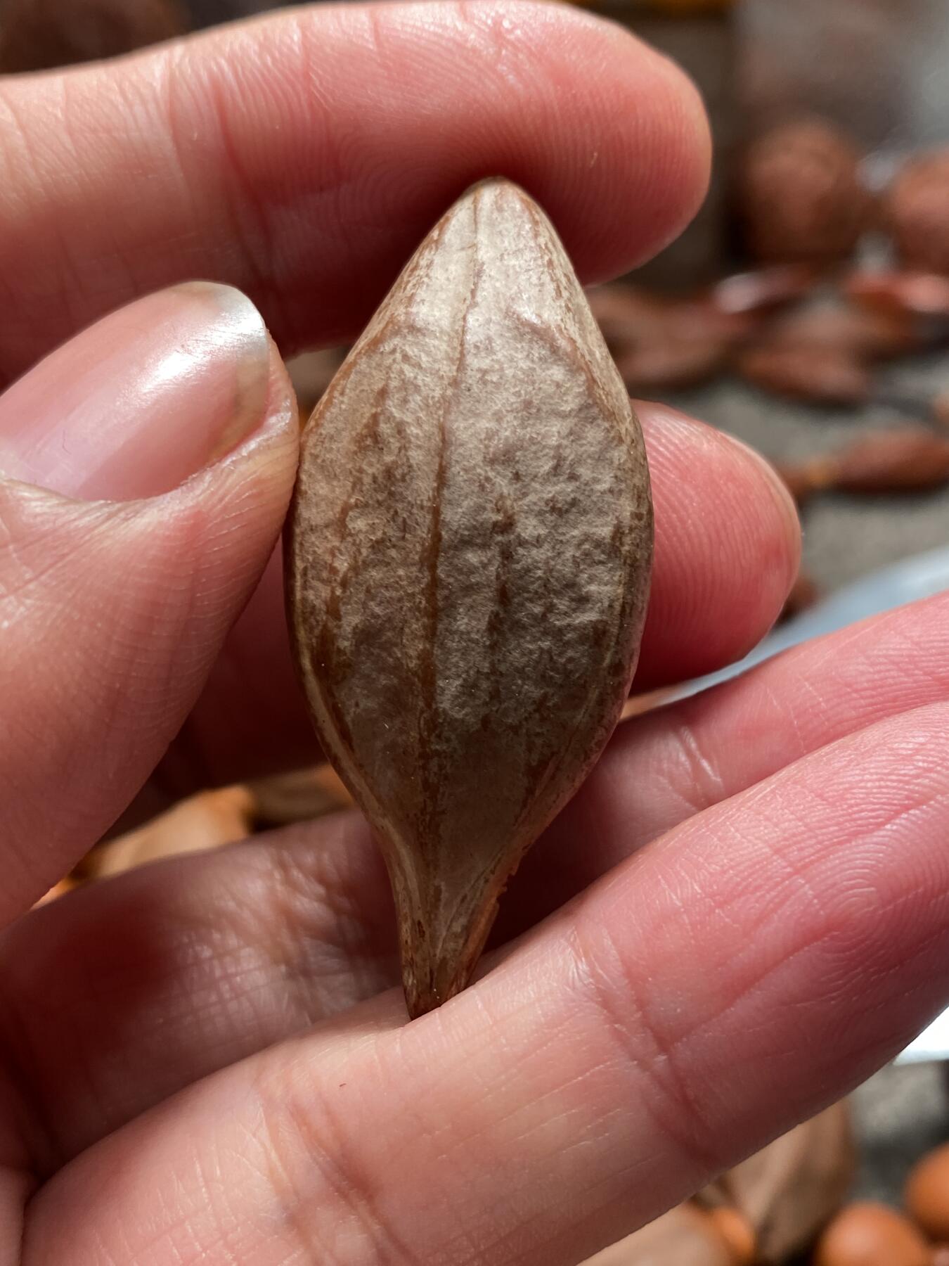 苏工核雕手工文化捡漏价 福利苏工核雕，纯手工个性题材钟馗捉鬼，立体感十足，表情到位尺寸1。95x4。55喜欢的来