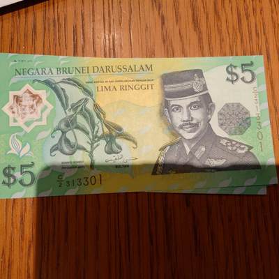 【世界钱币】精选微拍第153期暨2024年第65期～少量新品展销 1996年文莱5林吉特塑料钞 全新绝品无47尾号301