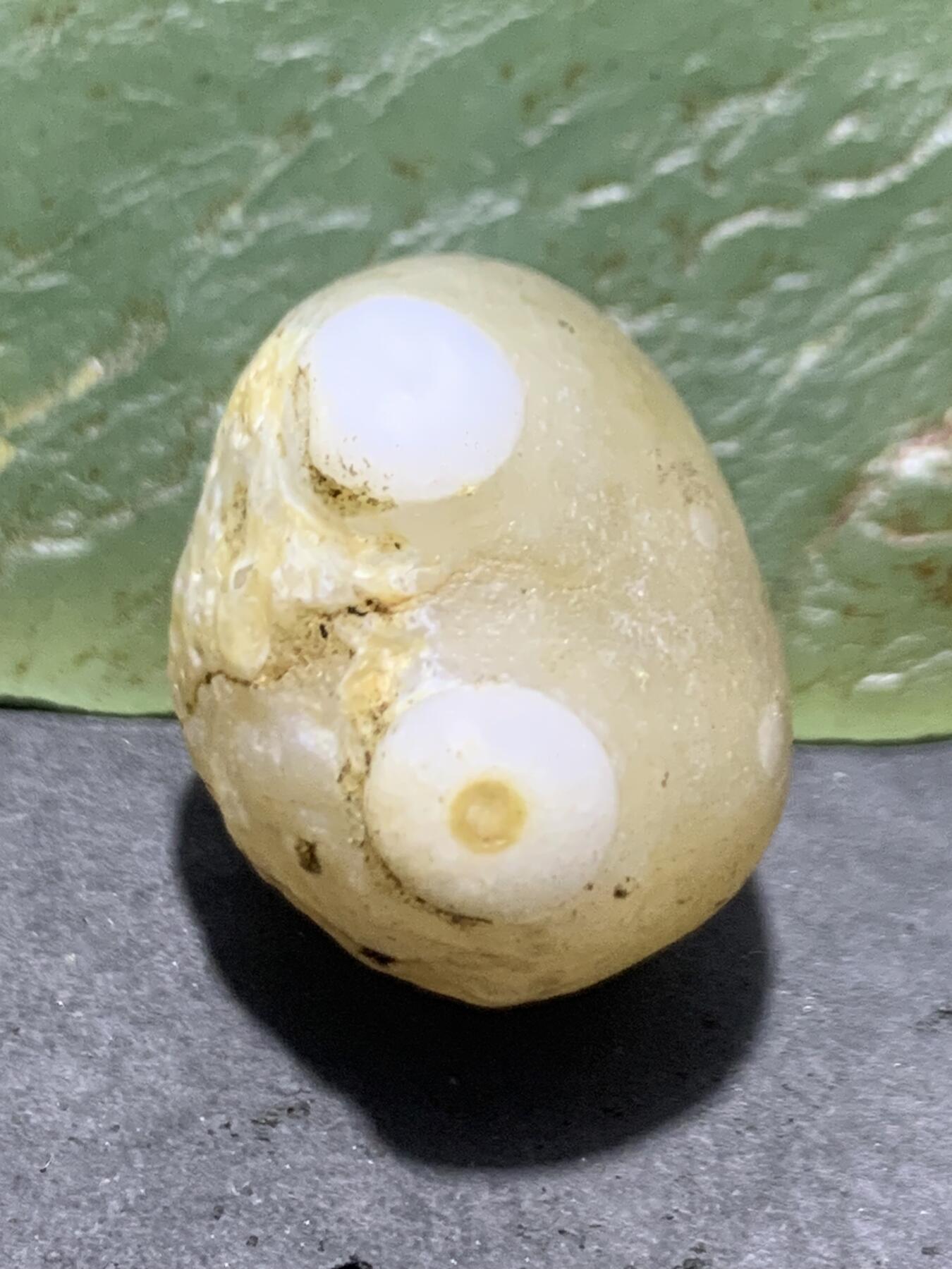 放福利！精美天然阿拉善白玛瑙双天眼原石一颗，