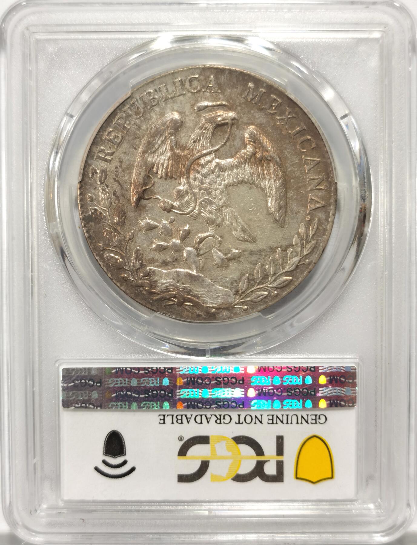 博洋堂世界钱币拍卖第102期（全场包邮） PCGS AU 墨西哥1897年MO AM版花边鹰洋，关门年份，S.P.Rutherford名家旧藏