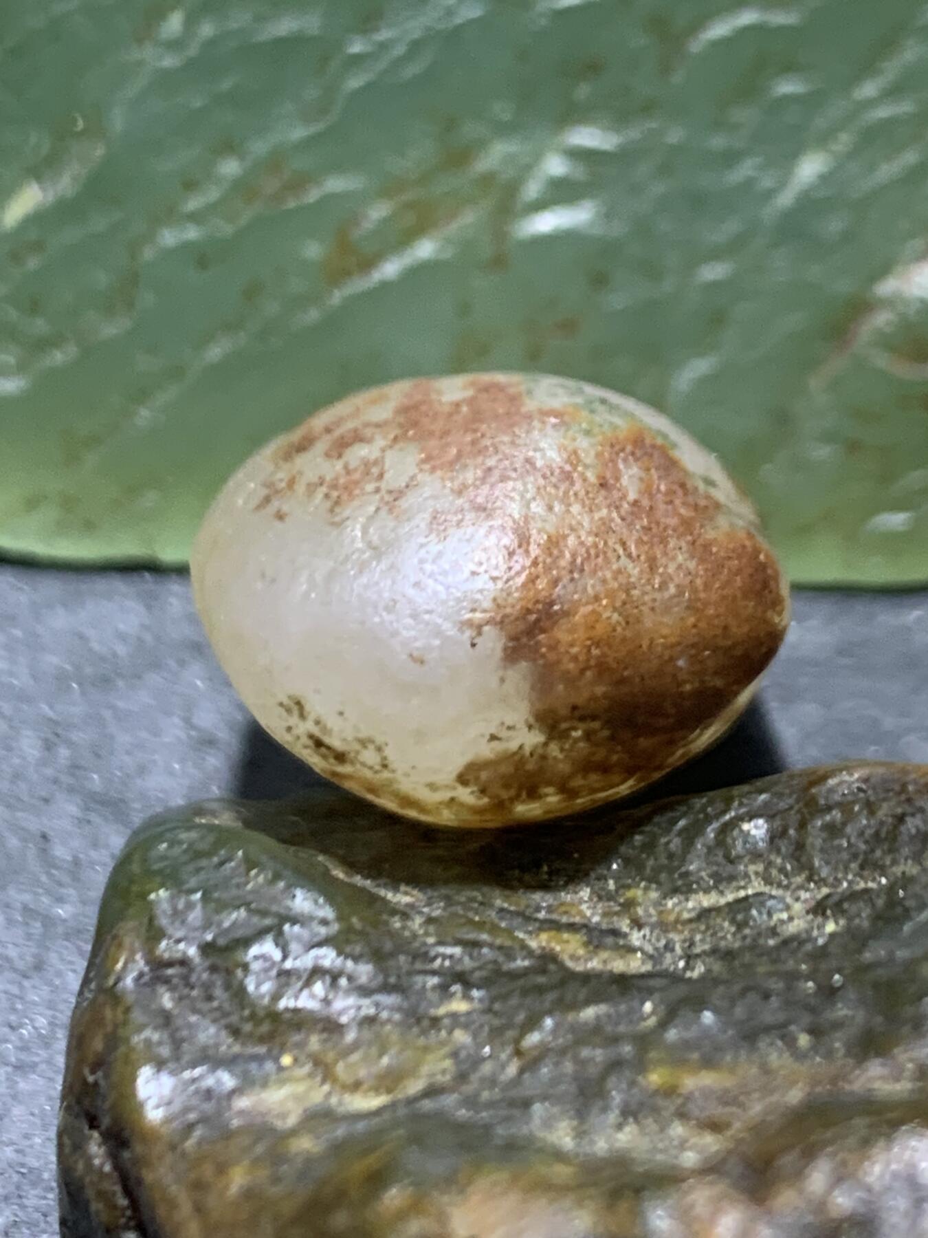 放福利！精美天然铁皮阿拉善白玛瑙原石一颗，