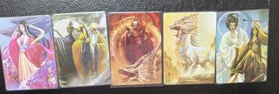 卡玩燎原阿毛奇点各家卡牌 阿毛寻梦西游纱闪、金边共15张及其他如图