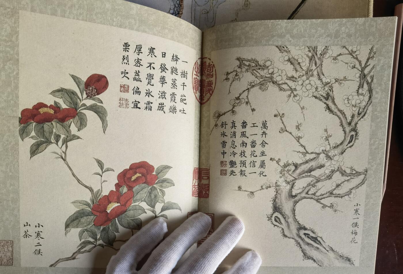 奇趣收藏卡牌拍卖第6场（全场包邮 收拍品免费上拍） 【学习时间】纵横山海-山海经别册-二十四番苍信风图1本 约50页