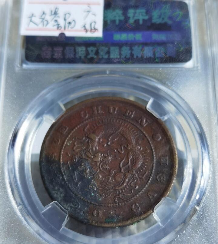 四川当二十小尾龙