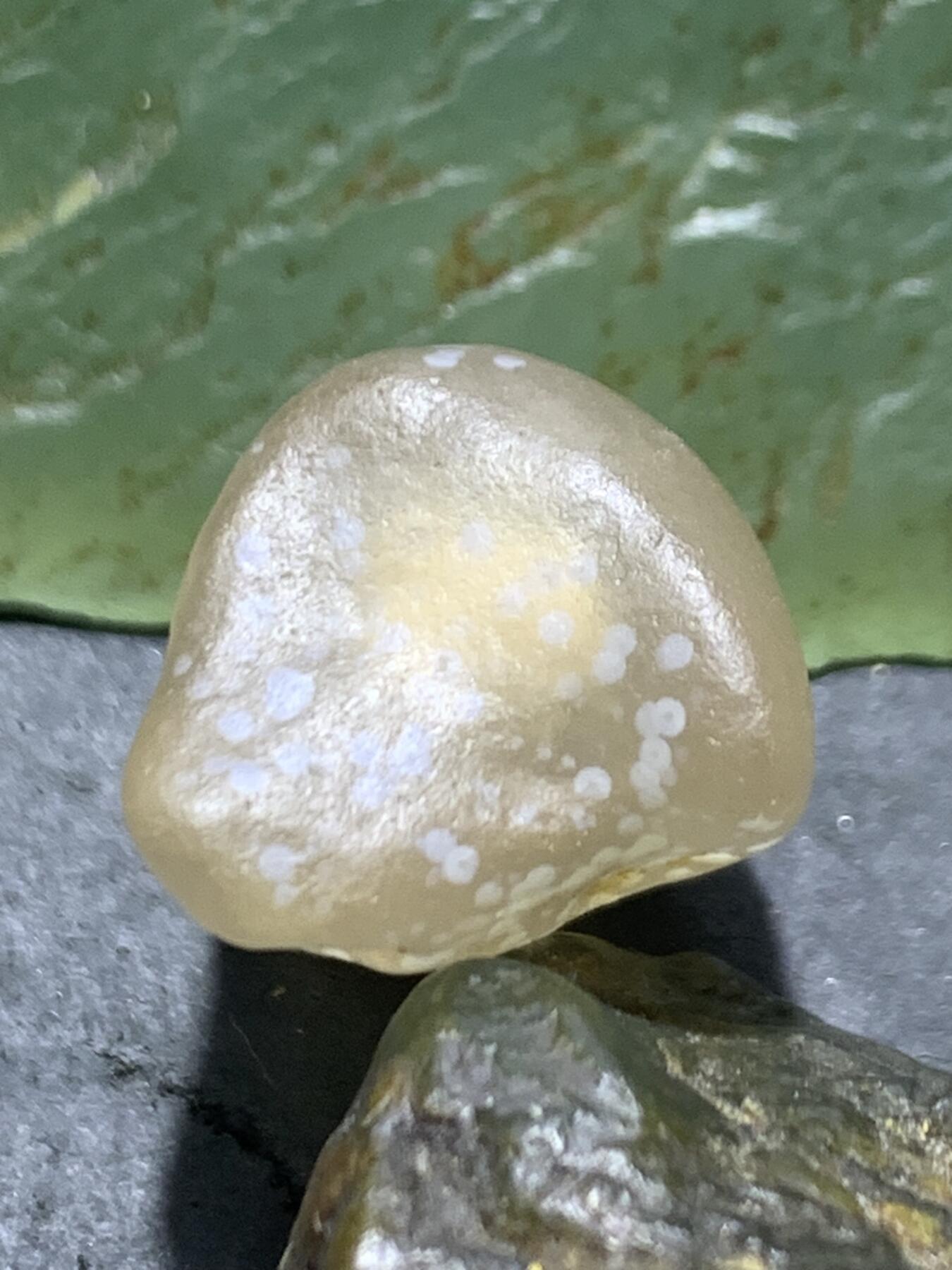 放福利！精美天然戈壁气泡纹白糖心玛瑙小原石一颗