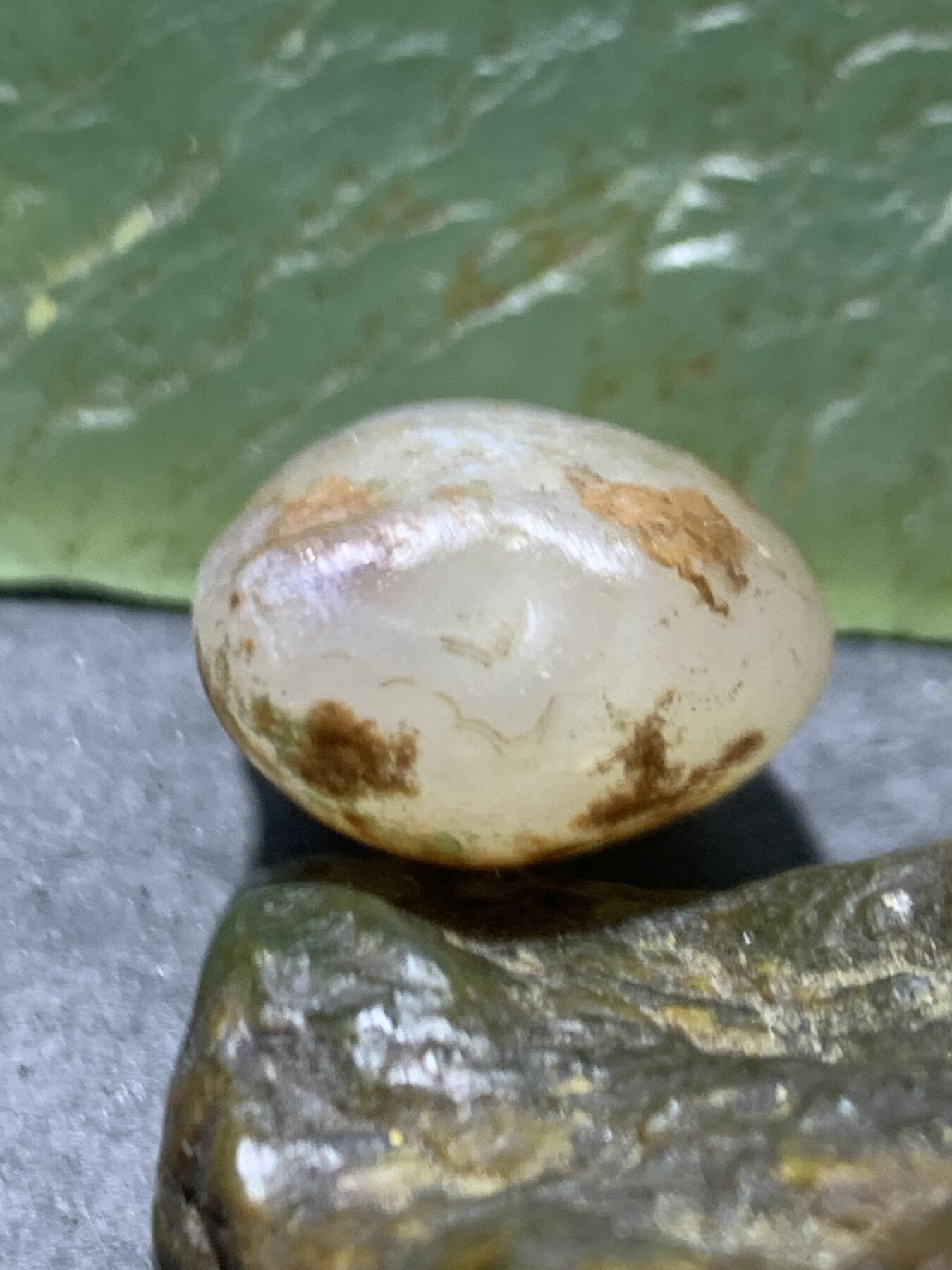 放福利！精美天然铁皮阿拉善白玛瑙原石一颗，