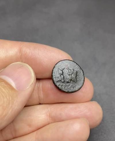 古希腊 雅典娜与双斗牛 密西亚。帕加蒙。 约公元前310年至公元前282年 17毫米，4.49克 正面:戴头盔的雅典娜获奖者领袖左。 后面: ΠEΡΓA. 面对着公牛的头部。 1016 古希腊 雅典娜与双斗牛 密西亚。帕加蒙。 约公元前310年至公元前282年 17毫米，4.49克 正面:戴头盔的雅典娜获奖者领袖左。 后面: ΠEΡΓA. 面对着公牛的头部。 1016