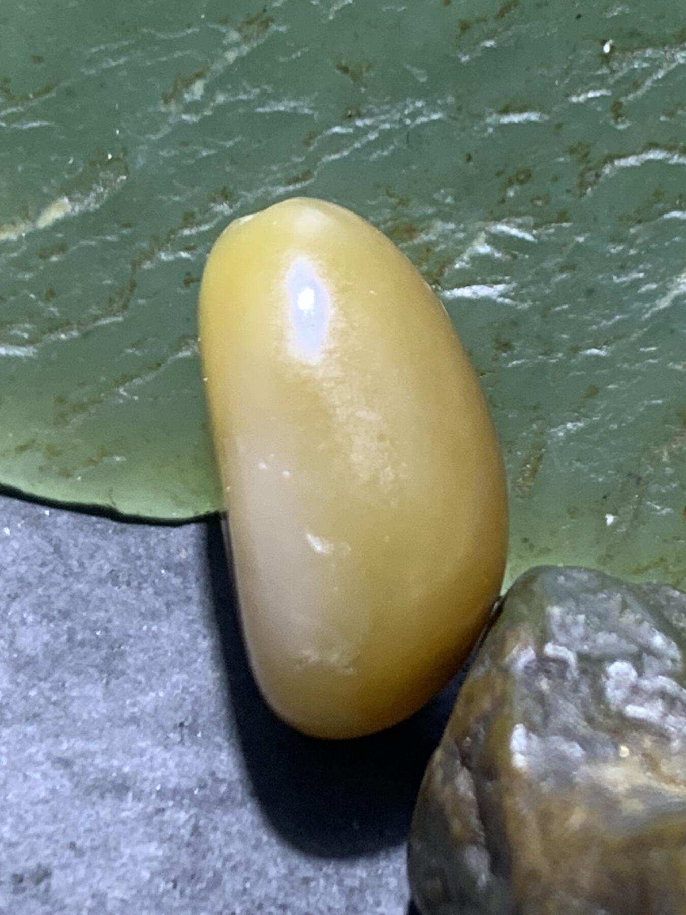 精美糖料和田玉独籽随形珠子一颗，