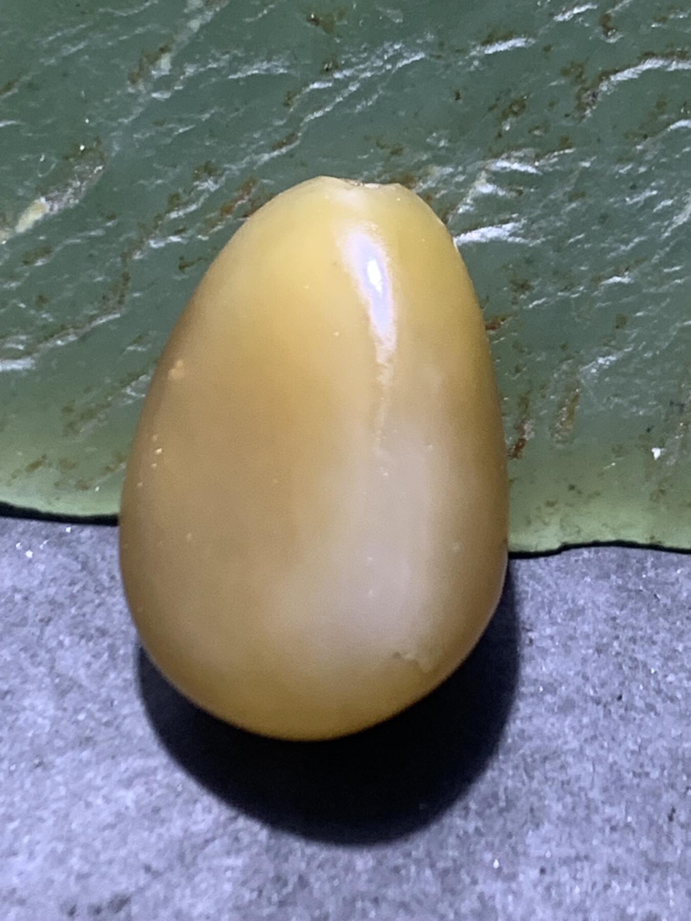 精美糖料和田玉独籽随形珠子一颗，