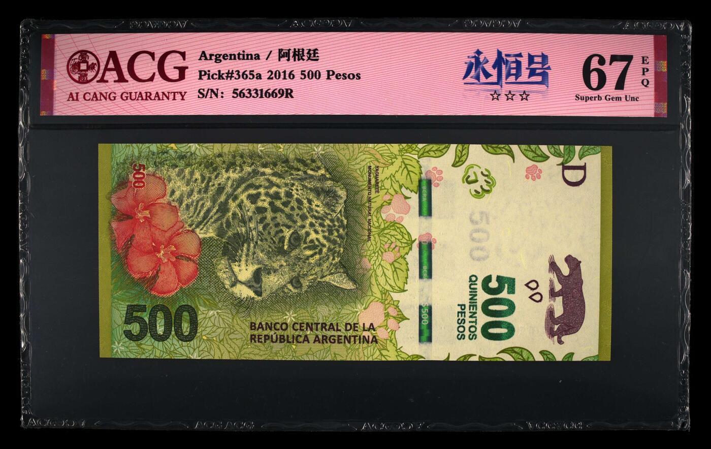 【海贤收藏阁】新店开业无佣金爱藏评级外币专场（全场除偏远单张包邮）第2期🎉 2016年阿根廷美洲豹500比索56331669，无47，爱藏评级67分epq