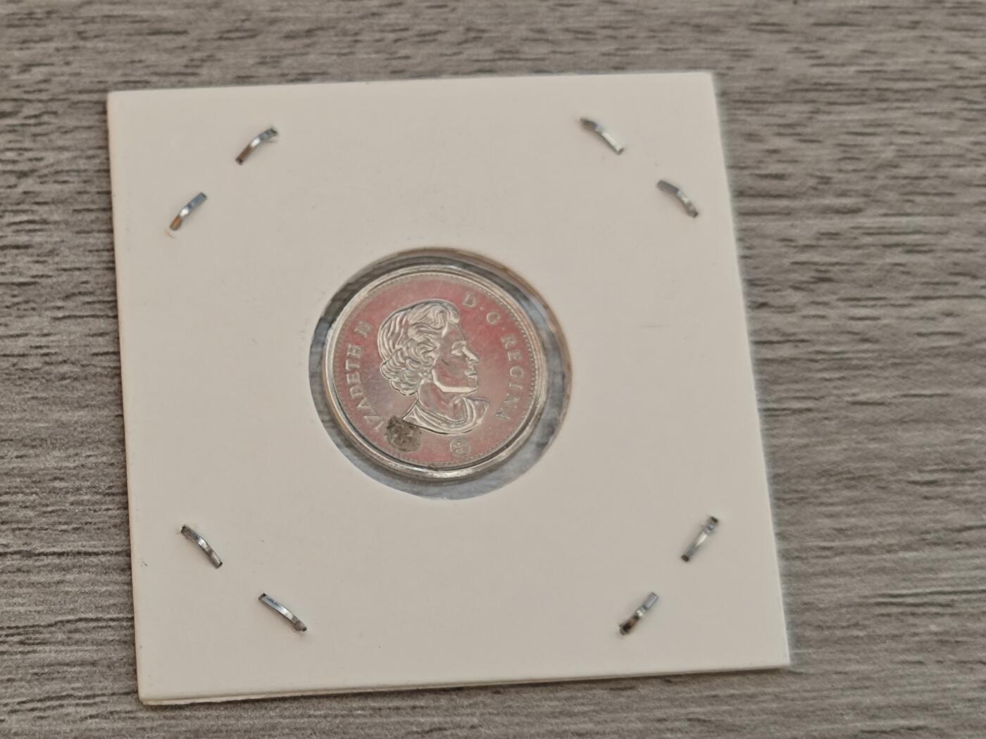 小小杂货铺12期（无佣金） 加拿大十分