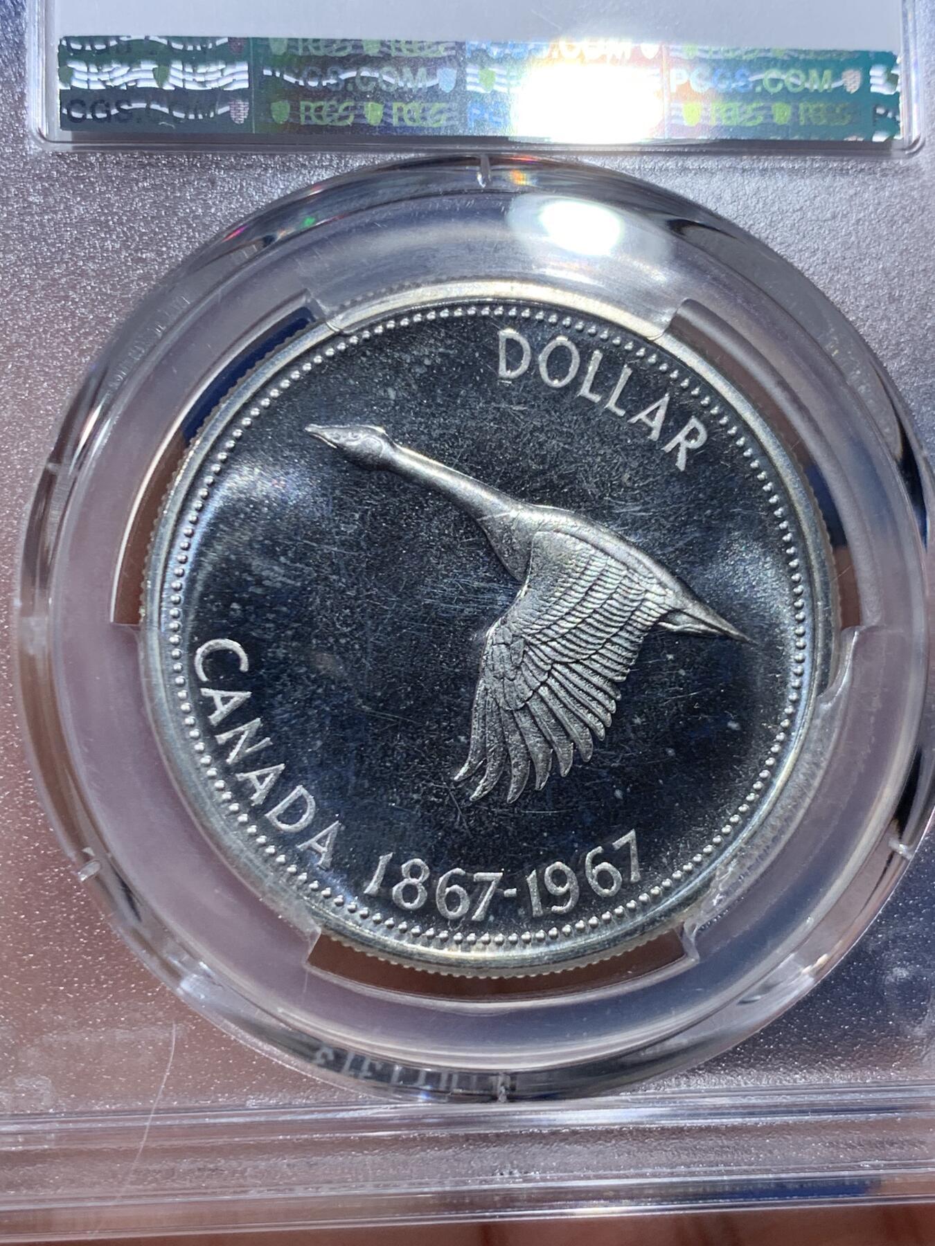 《竞宝斋》第336场 周日，周一 2场连拍 （全场包邮） PCGS PL66 加拿大大雁1元精制币，币面干净漂亮！热门品种！