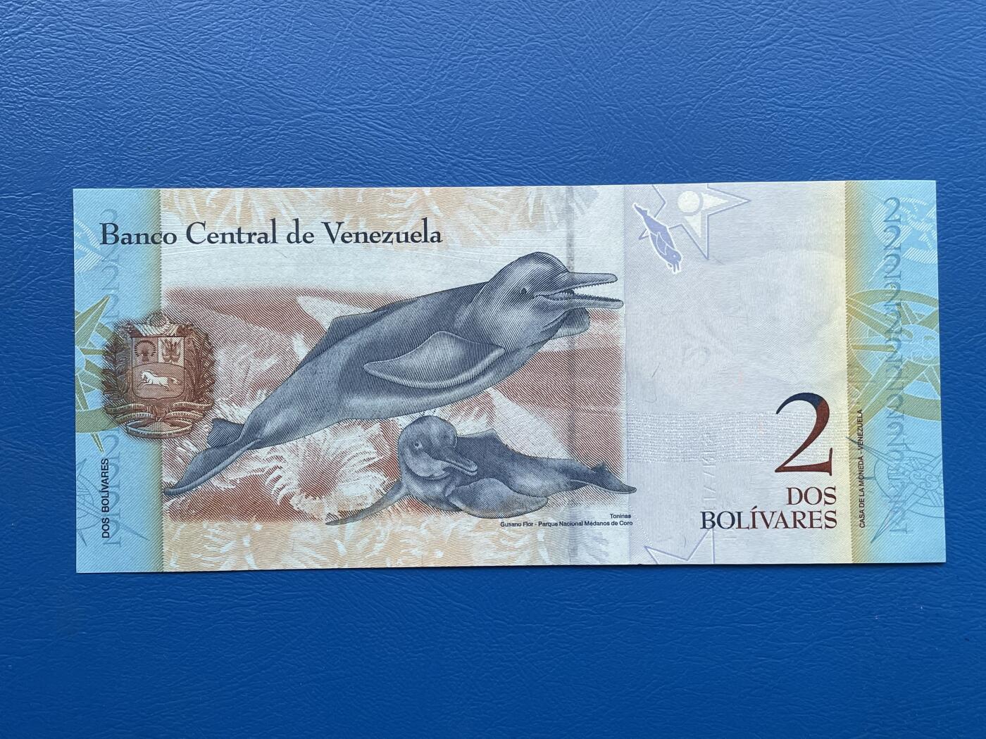 金银花邮币外国纸币专场01 无佣金 无押金 委内瑞拉🇻🇪2强势玻利瓦尔纸币