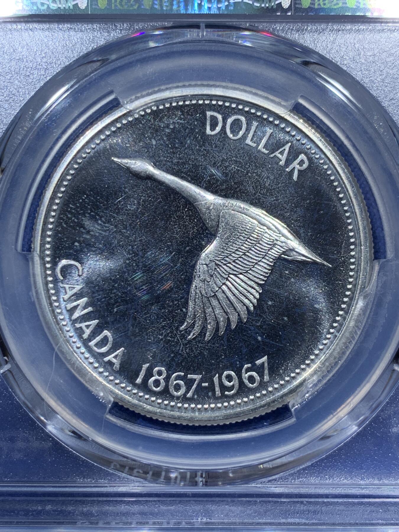 《竞宝斋》第336场 周日，周一 2场连拍 （全场包邮） PCGS PL66 加拿大大雁1元精制币，币面干净漂亮！热门品种！