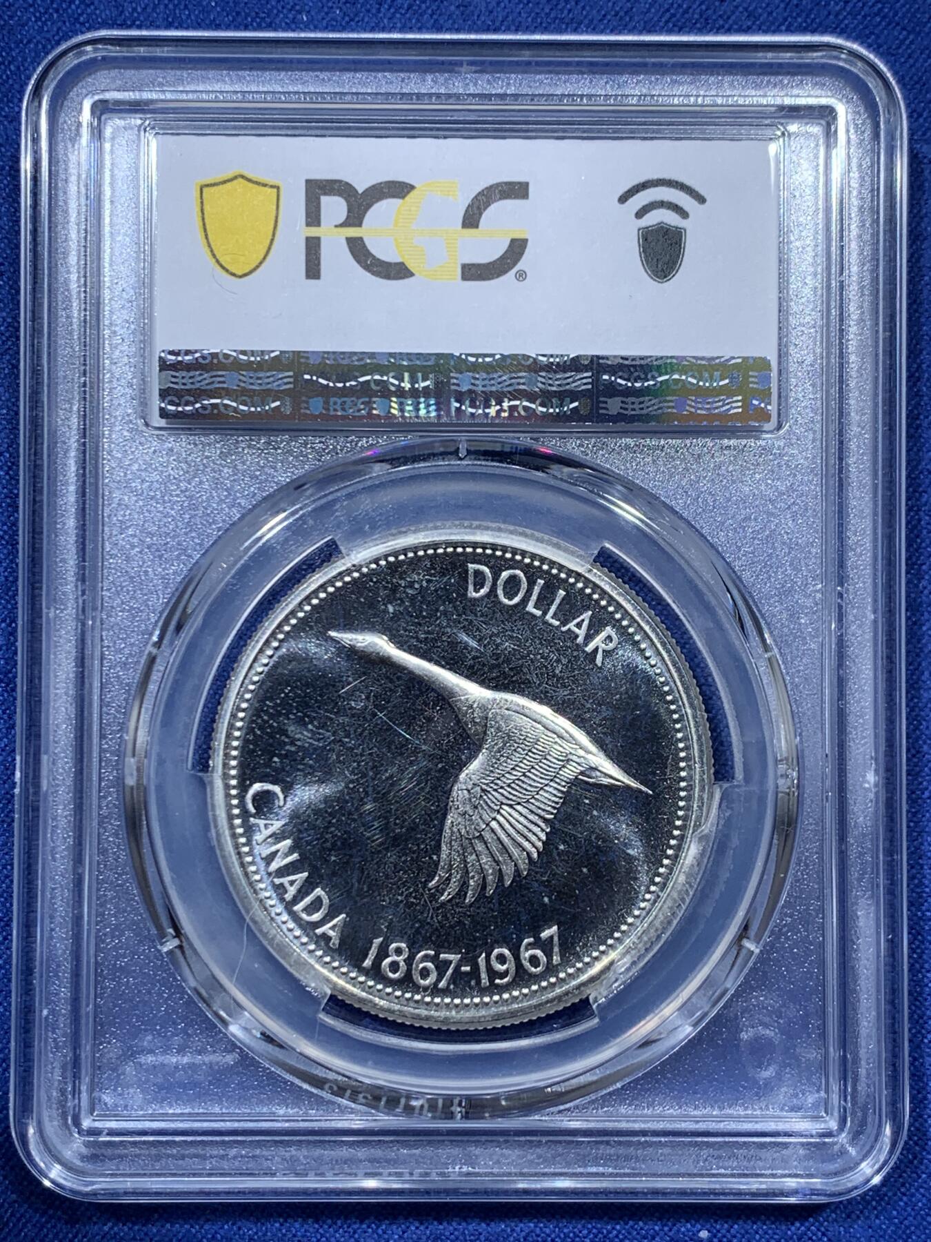 《竞宝斋》第336场 周日，周一 2场连拍 （全场包邮） PCGS PL66 加拿大大雁1元精制币，币面干净漂亮！热门品种！