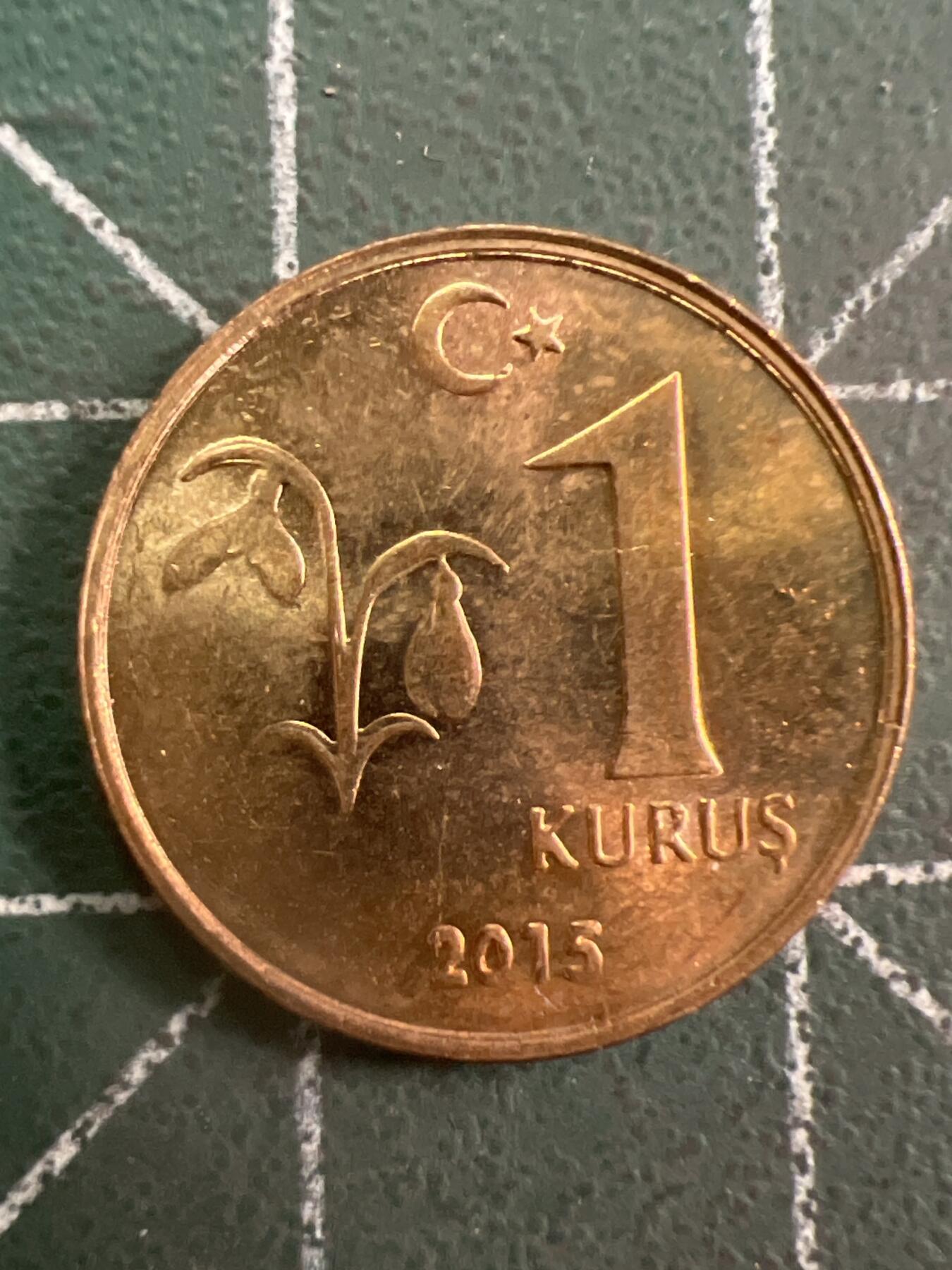 第781期  硬币专场 （无押金，捡漏，全场50包邮，偏远地区除外，接收代拍业务，本店十天发一次货） 土耳其1库鲁