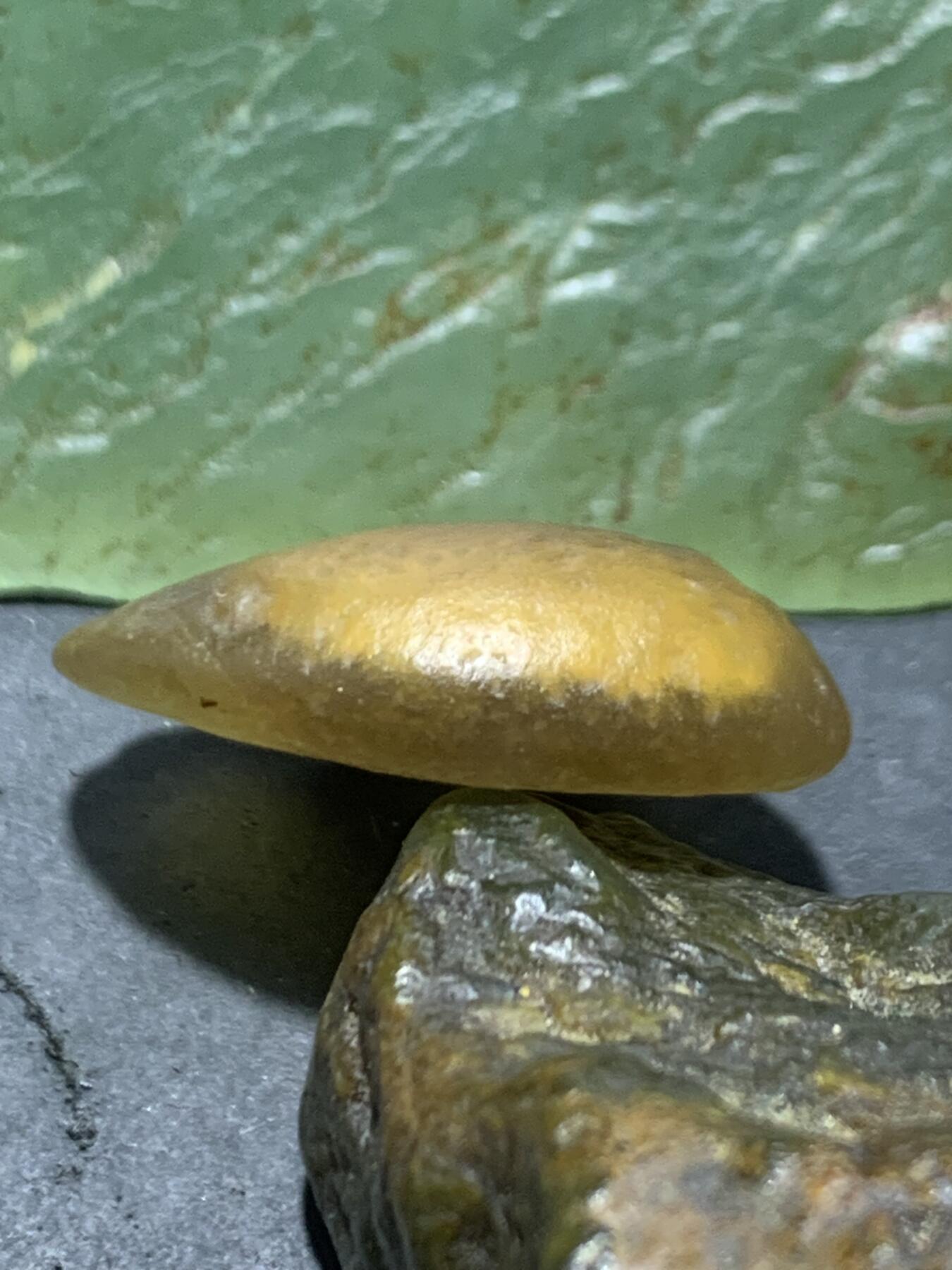 放福利！精美天然罕见阿拉善戈壁金糖心玛瑙原石一颗