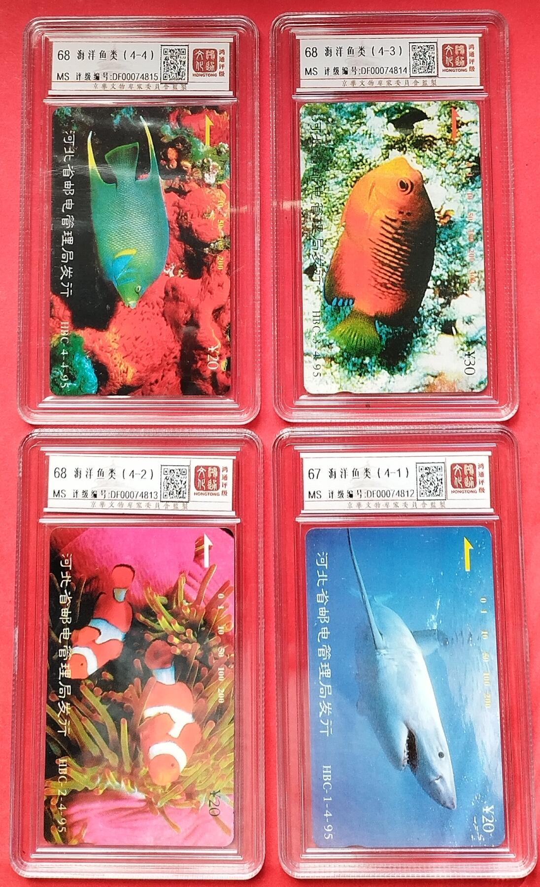 《鸿通俱乐部》拍卖16期 12月11日21：30延时节拍 地方田村新卡《海洋鱼类》4全 鸿通68分*3枚、67分*1枚