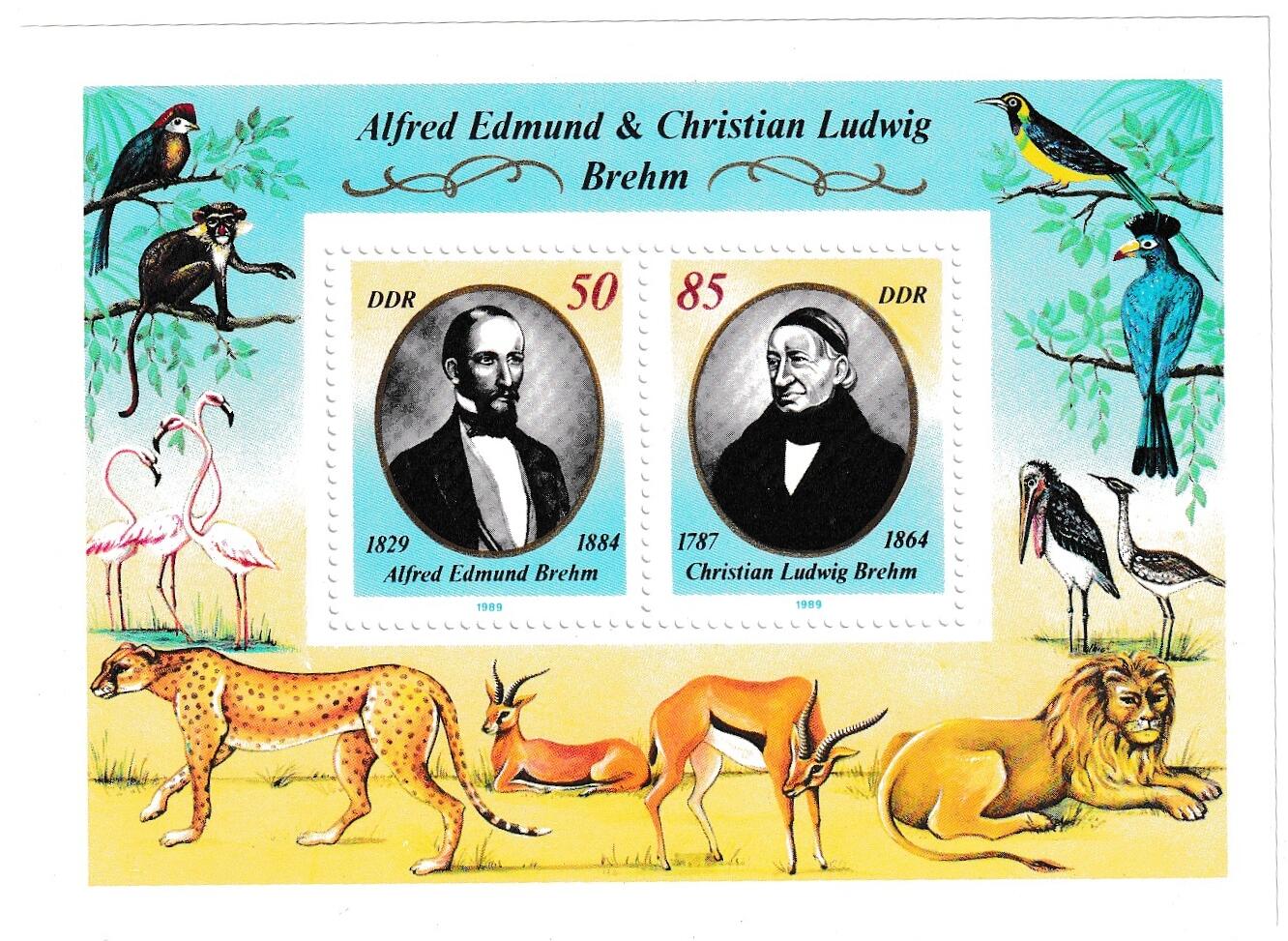 【良泉】【直播场】第三十期，4月24日晚19.30点开拍！200组，西方古代钱币、古代印章专场（本场结束后，本月寄存物品需要邮寄清空，有寄存的朋友请注意）