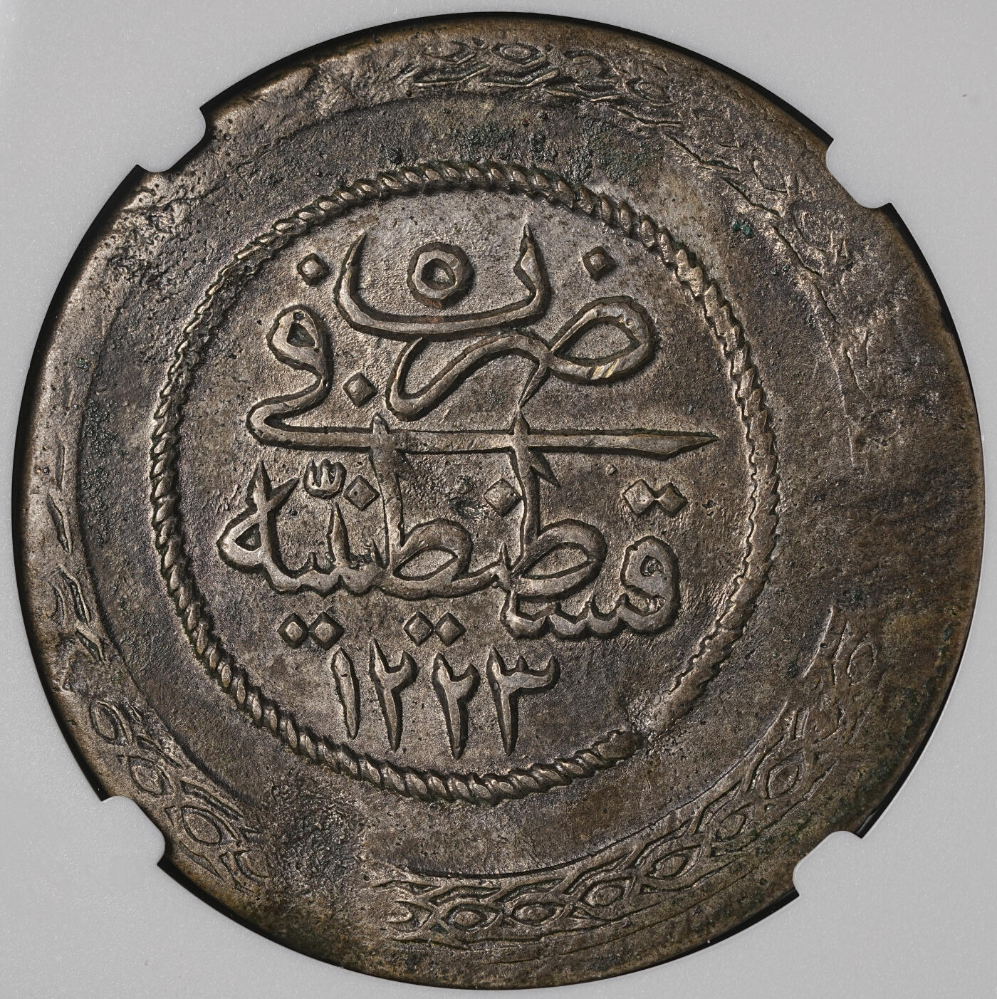 修遠堂世界钱币第五十期 全场包邮 NGC AUD AH1223//5 奥斯曼帝国5 KURUSH大银币