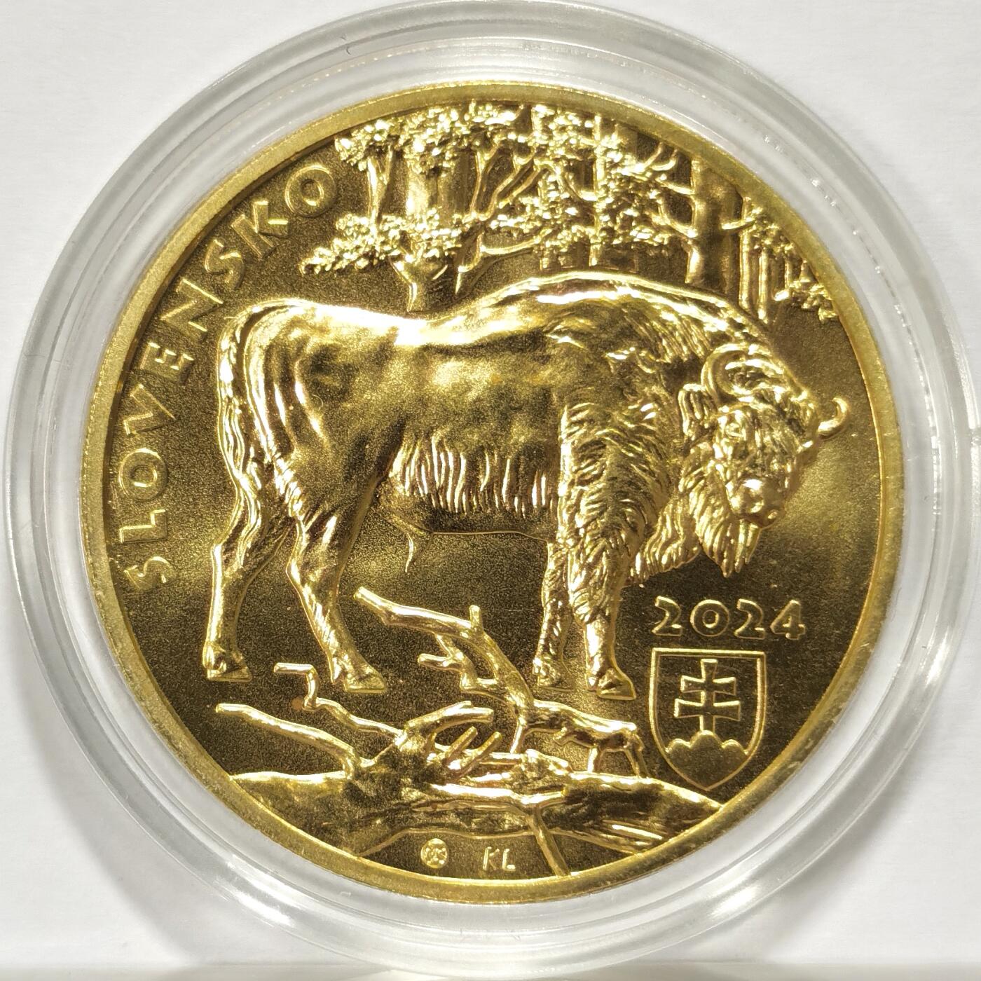 博洋堂世界钱币拍卖第103期（全场包邮） 2024年新发，斯洛伐克动植物群系列“野牛”5欧元纪念币，品质完美。