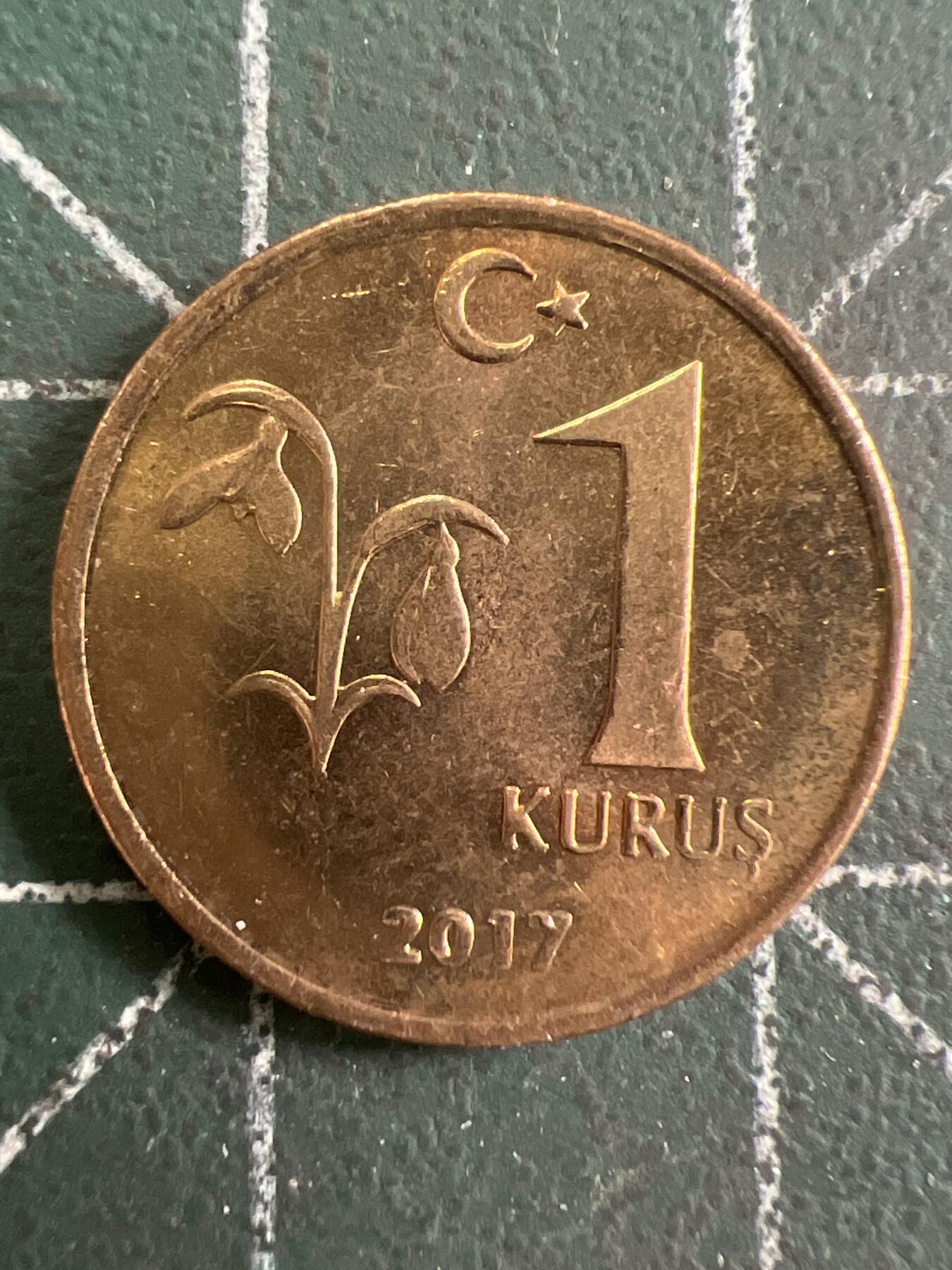 第787期  硬币专场 （无押金，捡漏，全场50包邮，偏远地区除外，接收代拍业务，本店十天发一次货） 土耳其1库鲁