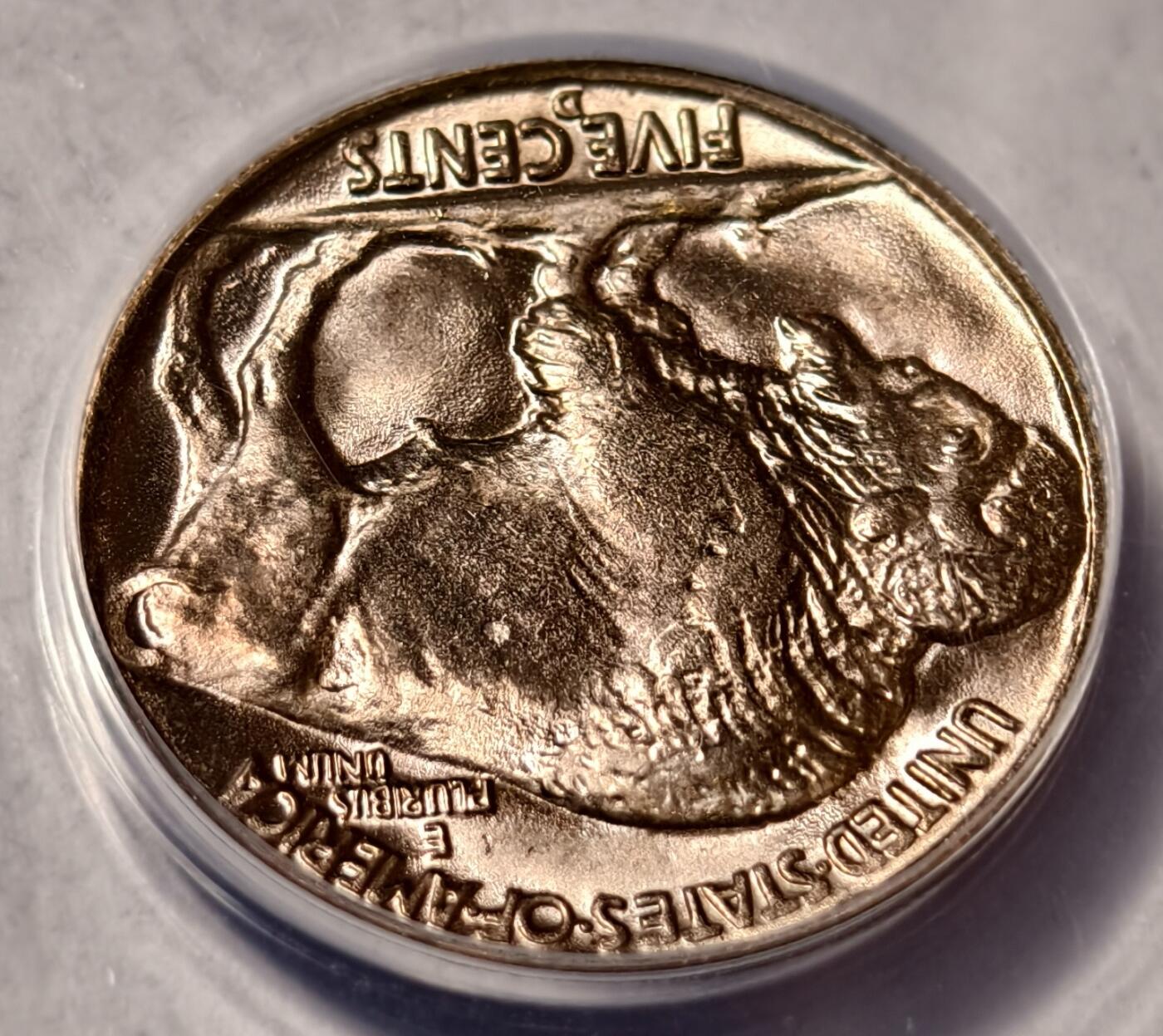紫瑗钱币——第468期 美国 1938年 野牛 5美分  铜镍合金 ANACS MS65