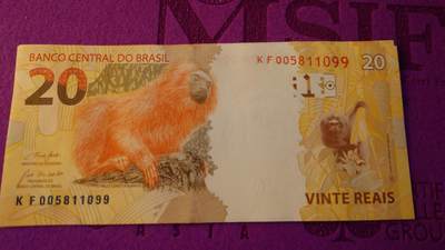 【世界钱币】精选微拍第154期暨2024年第66期～部分新品卖剩品种展销 2010年巴西20里亚尔 全新绝品无47尾号1099