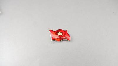 历代徽章43 - 越南国旗章