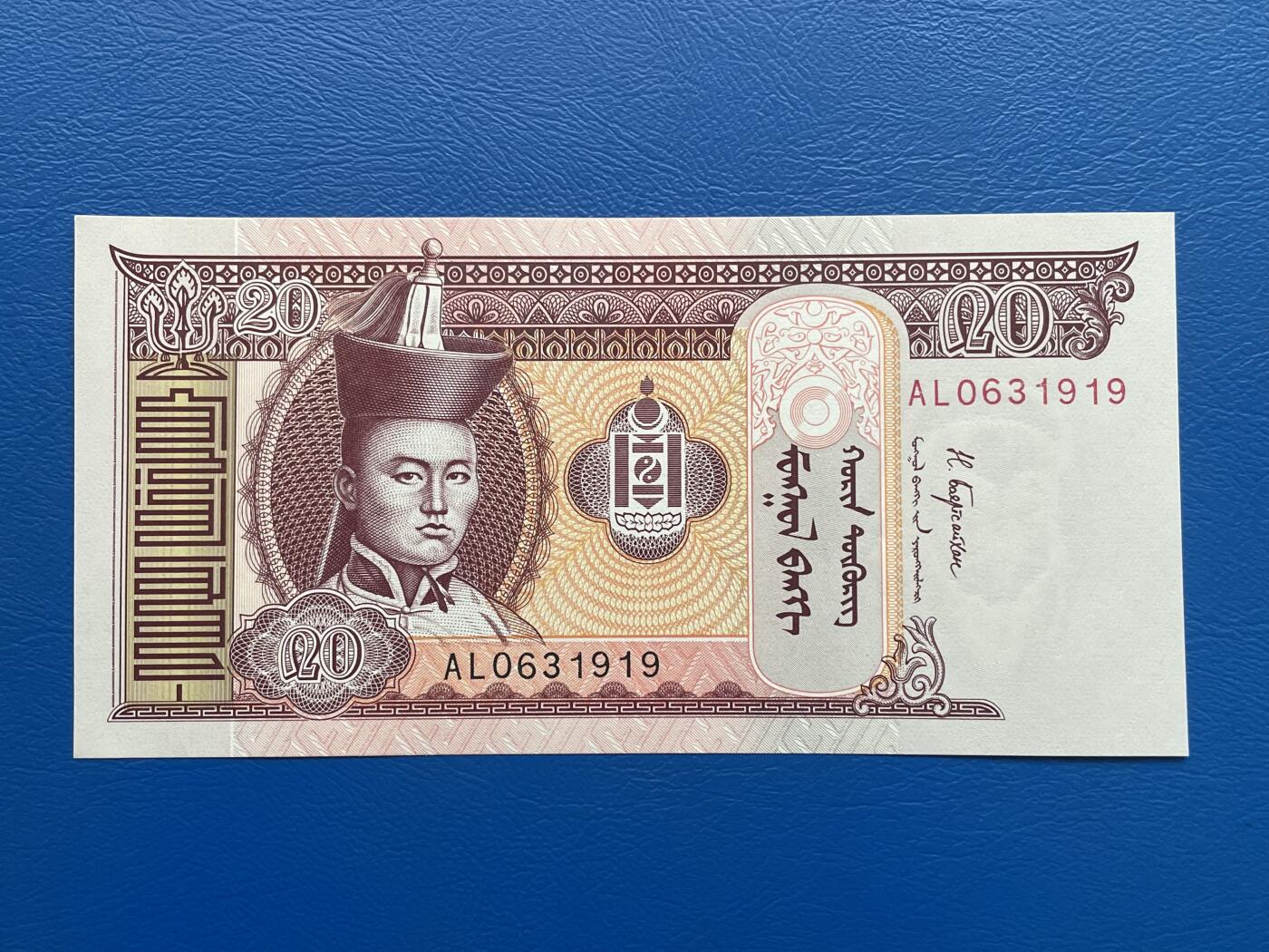 金银花邮币世界各国纸币专场02 无佣金 0起加1 蒙古🇲🇳20图格里克