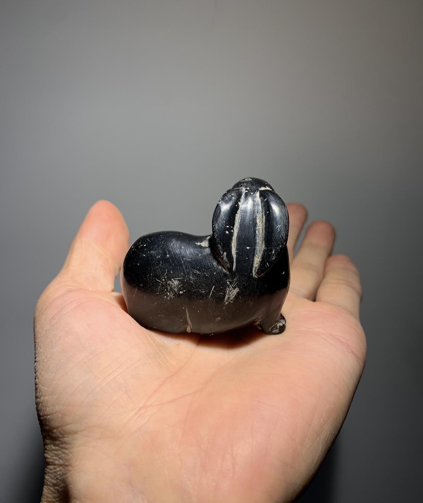 墨晶石兔