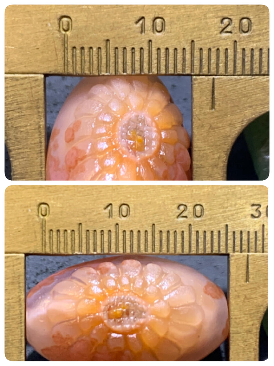 精美亚光糖心料战国红玛瑙手工俏色巧雕太阳花桶珠一个
